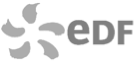 img/logo_edf_carre.png